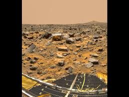 Elon Musk'ın Mars hayali rüzgara kapıldı