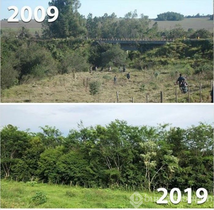 Çevre örgütlerinden #10yearchallenge fotoğrafları