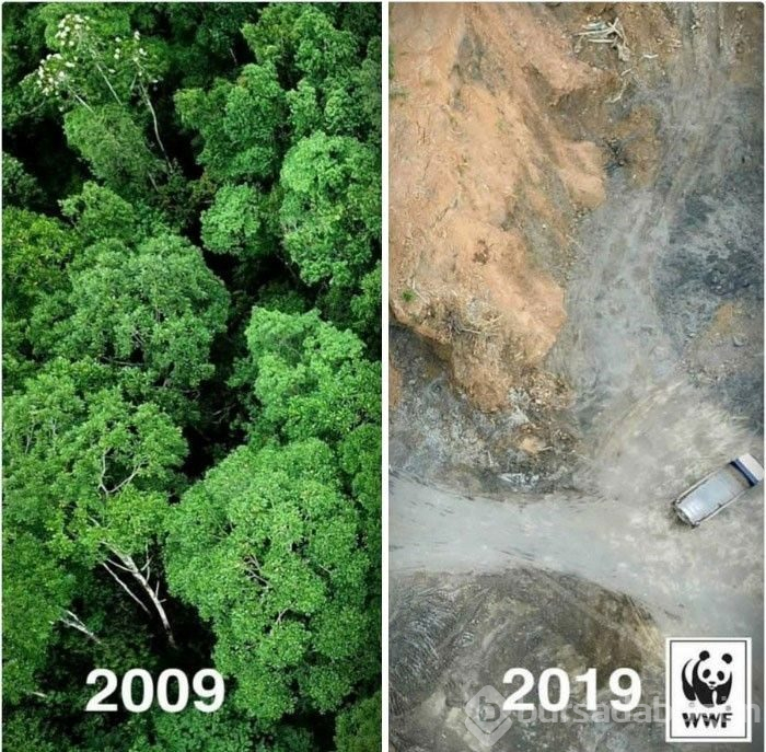 Çevre örgütlerinden #10yearchallenge fotoğrafları