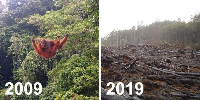 Çevre örgütlerinden #10yearchallenge fotoğrafları