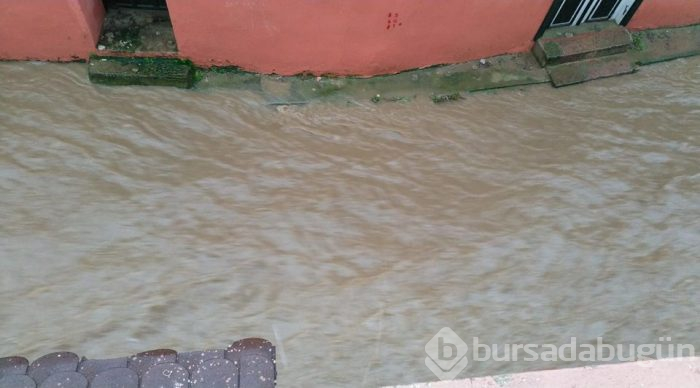 Ünlü tatil beldesi Venedik'e döndü