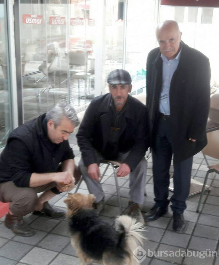Her gün evden kaçıp, sahibinin mezarına giden köpek!
