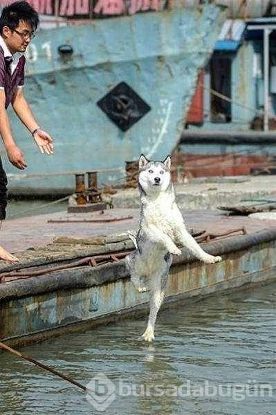 Tam zamanında çekilen etkileyici fotoğraflar
