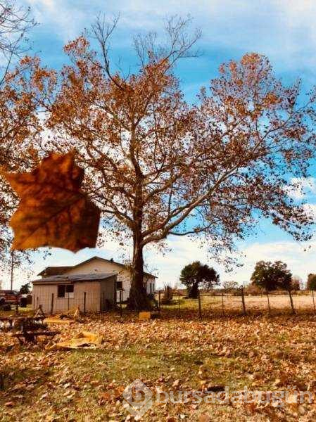 Tam zamanında çekilen etkileyici fotoğraflar
