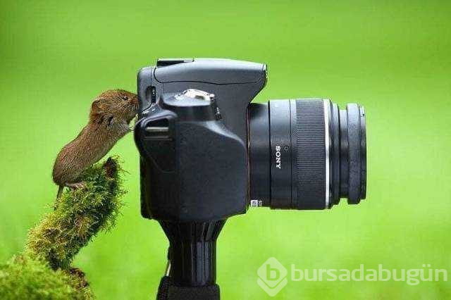 Günün en çok paylaşılan fotoğrafları (24.09.2019)