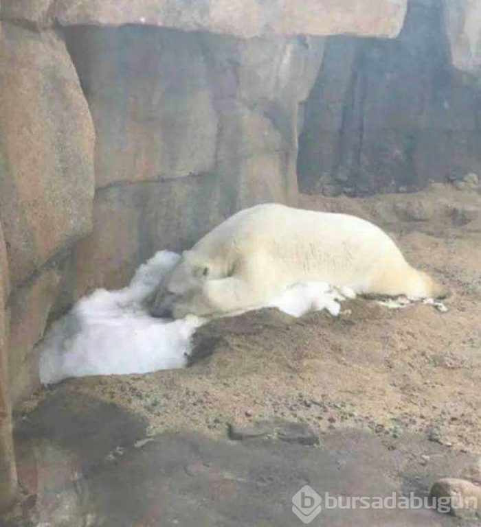 Günün en çok paylaşılan fotoğrafları (24.09.2019)