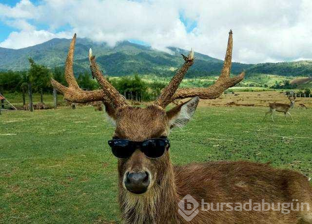 Günün en çok paylaşılan fotoğrafları (24.09.2019)