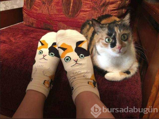Günün en çok paylaşılan fotoğrafları (24.09.2019)