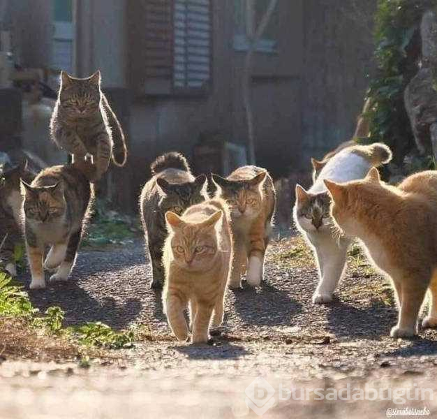 Günün en çok paylaşılan fotoğrafları (24.09.2019)