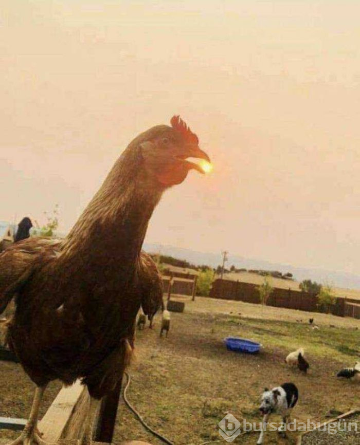 Günün en çok paylaşılan fotoğrafları (24.09.2019)