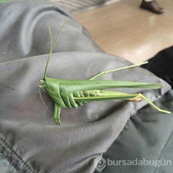 Günün en çok paylaşılan fotoğrafları (24.09.2019)