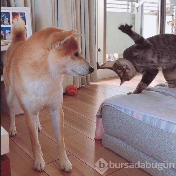 Günün en çok paylaşılan fotoğrafları (24.09.2019)