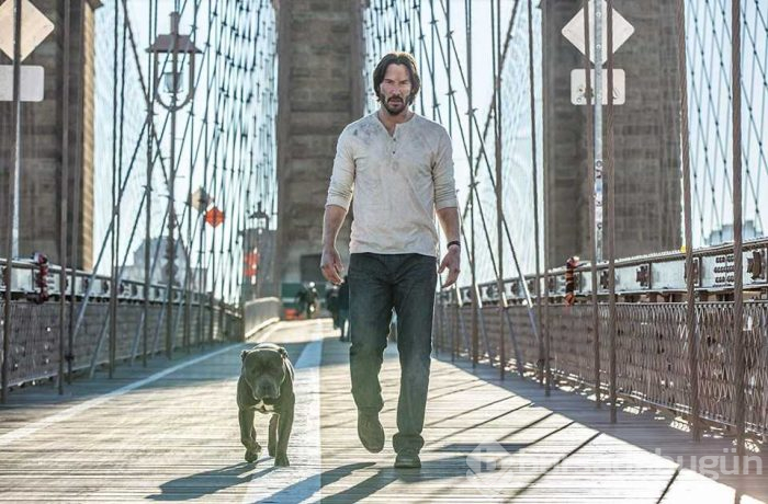 John Wick 3'teki köpekli sahnelerin sırrı ortaya çıktı