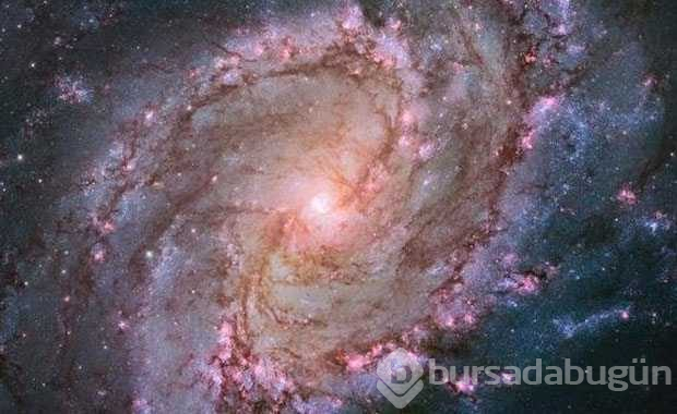 NASA, ''Yer Çekimi ve İklim Deneyi'' gerçekleştirdi

