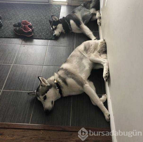 Günün en çok paylaşılan fotoğrafları (25.01.2019)