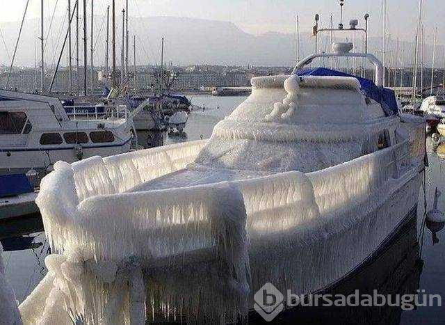 Günün en çok paylaşılan fotoğrafları (25.01.2019)