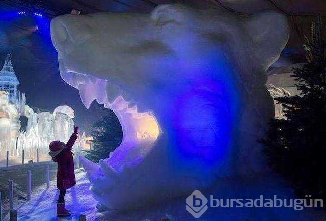 Günün en çok paylaşılan fotoğrafları (25.01.2019)