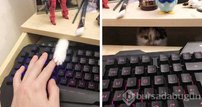Günün en çok paylaşılan fotoğrafları (25.01.2019)