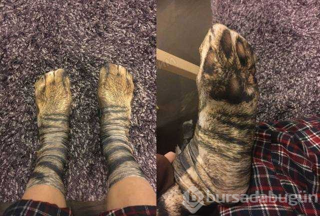 Günün en çok paylaşılan fotoğrafları (25.01.2019)