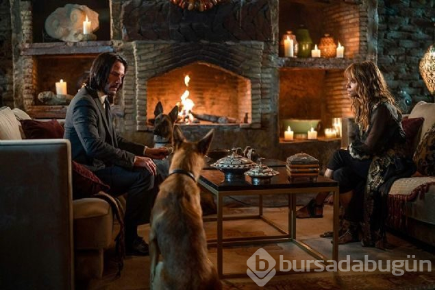 John Wick 3'teki köpekli sahnelerin sırrı ortaya çıktı
