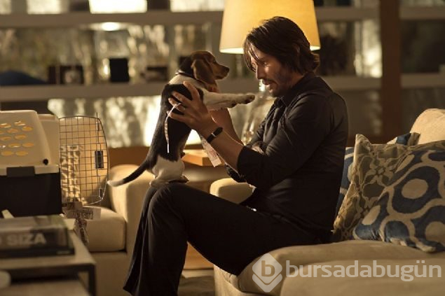John Wick 3'teki köpekli sahnelerin sırrı ortaya çıktı
