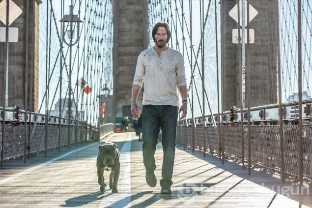 John Wick 3'teki köpekli sahnelerin sırrı ortaya çıktı
