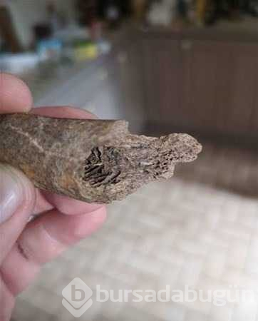 Bahçedeki deliği kazınca bakın ne çıktı!
