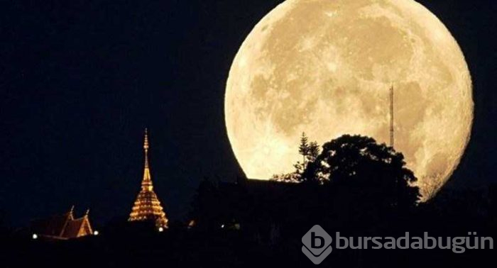 İşte Asya'nın en sağlıklı kentleri
