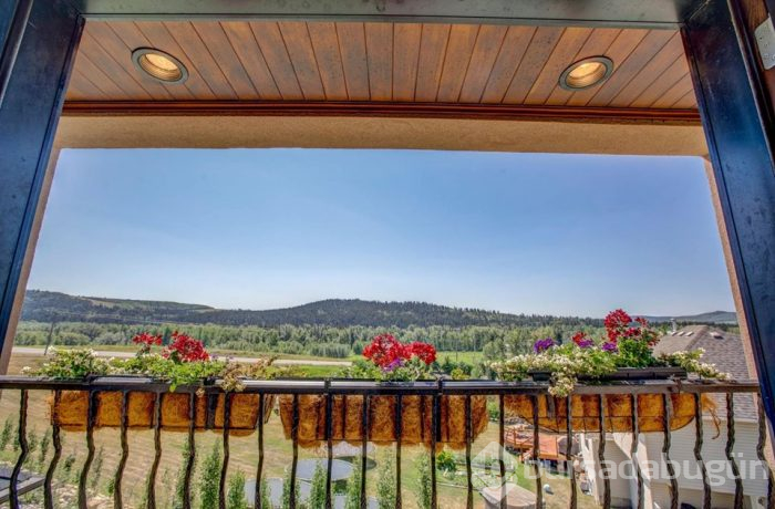 1,3 milyon dolarlık evi 19 dolara satıyor