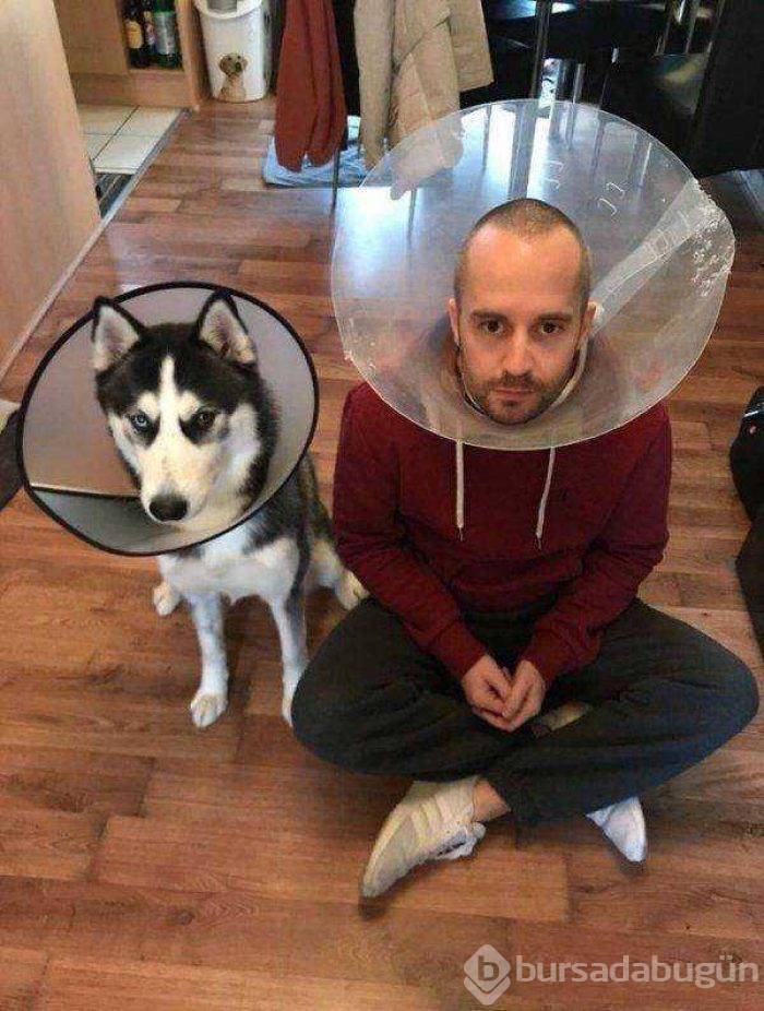   Dünyanın en sevimli hayvanları