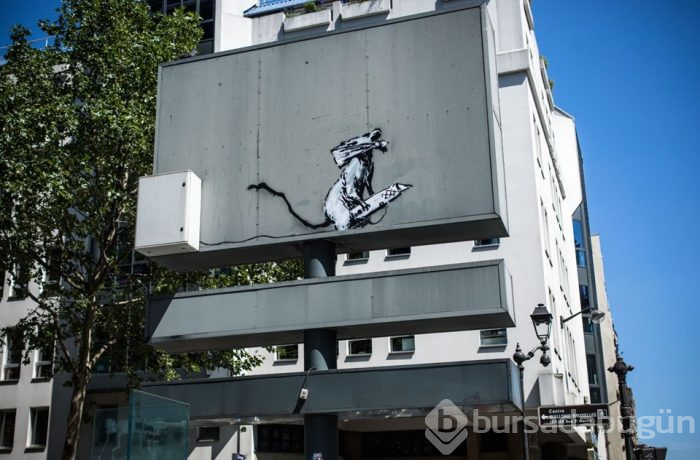 Banksy'nin eseri çalındı
