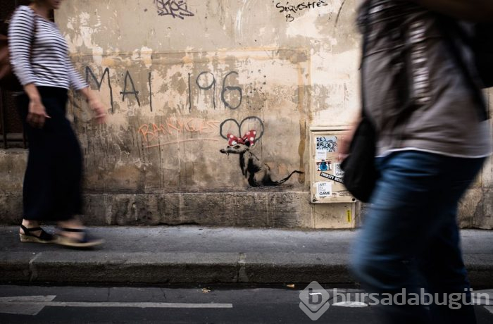 Banksy'nin eseri çalındı