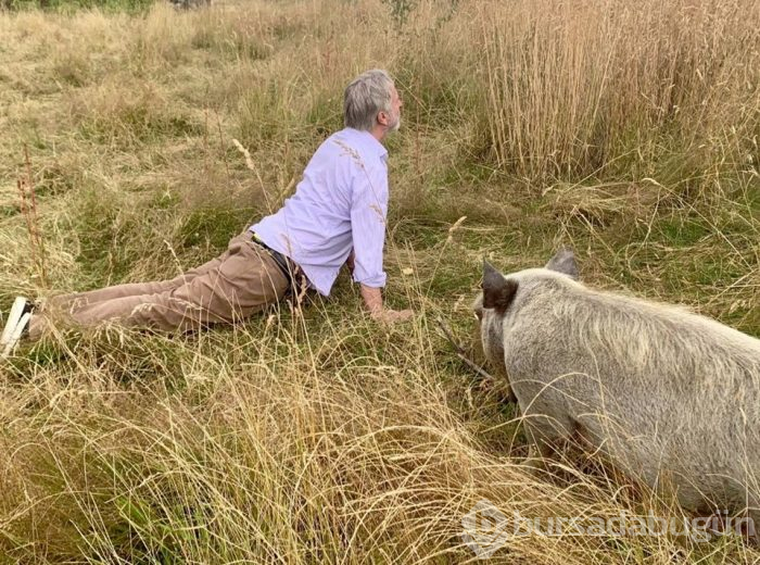 Sam Neill domuzuyla yoga yapıyor