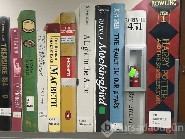 Dünyanın farklı yerlerinden eğlenceli kütüphane manzaraları