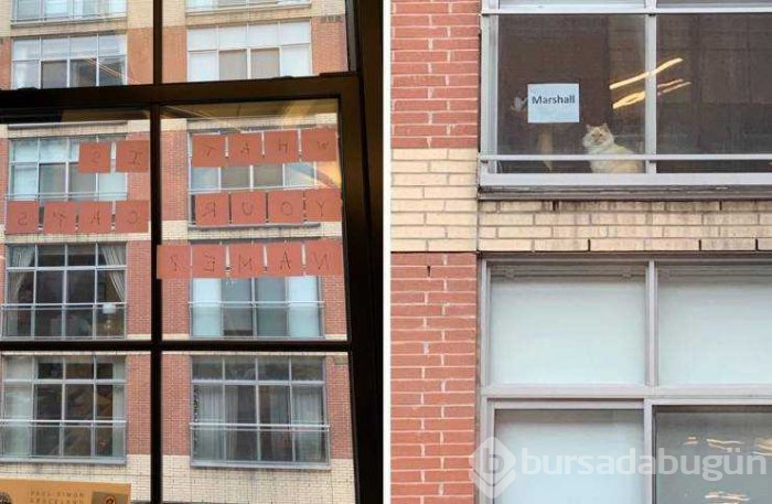 Günün en çok paylaşılan fotoğrafları (29.01.2019)