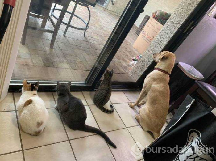 Günün en çok paylaşılan fotoğrafları (29.01.2019)