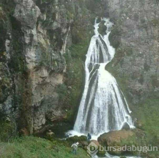 Günün en çok paylaşılan fotoğrafları (29.01.2019)
