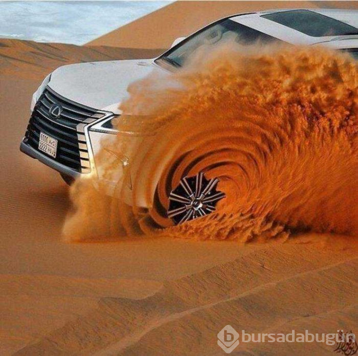 Günün en çok paylaşılan fotoğrafları (29.01.2019)