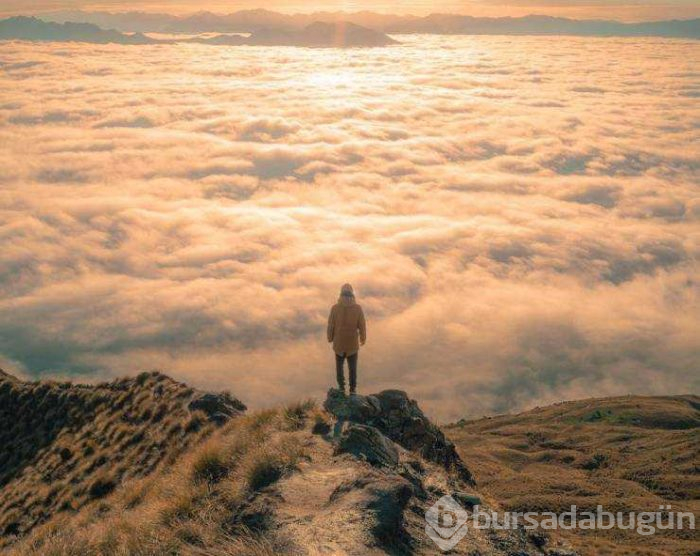 Günün en çok paylaşılan fotoğrafları (29.01.2019)