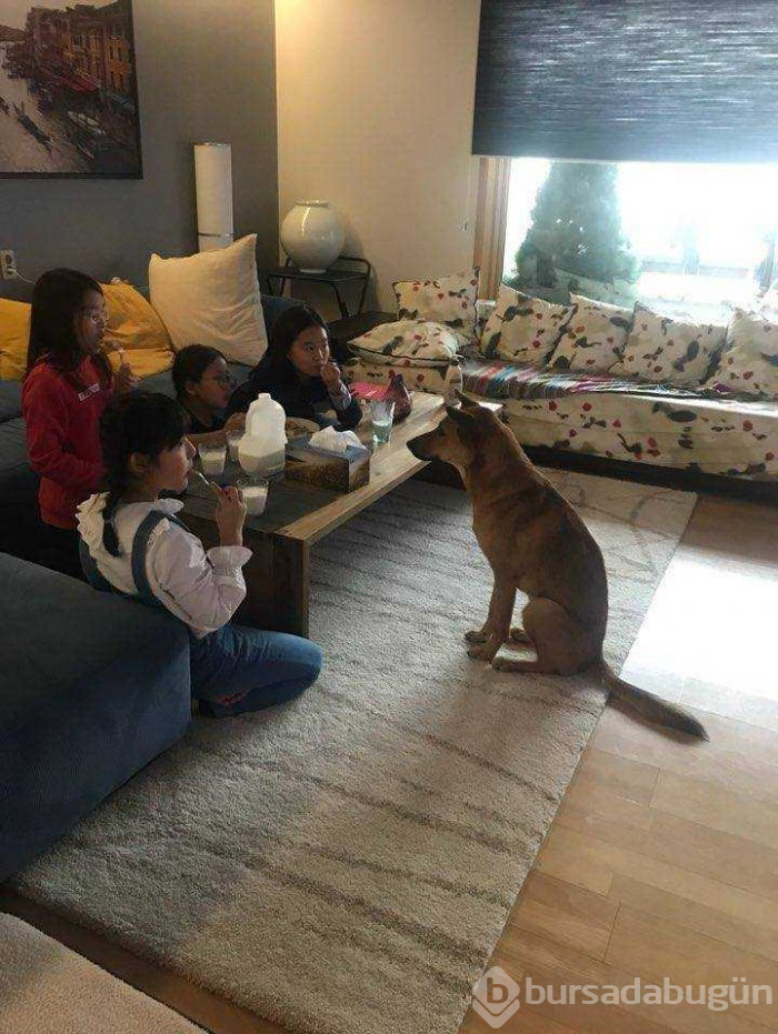 Günün en çok paylaşılan fotoğrafları (29.01.2019)