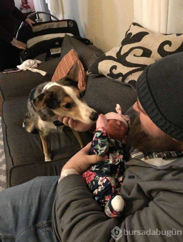 Günün en çok paylaşılan fotoğrafları (29.01.2019)