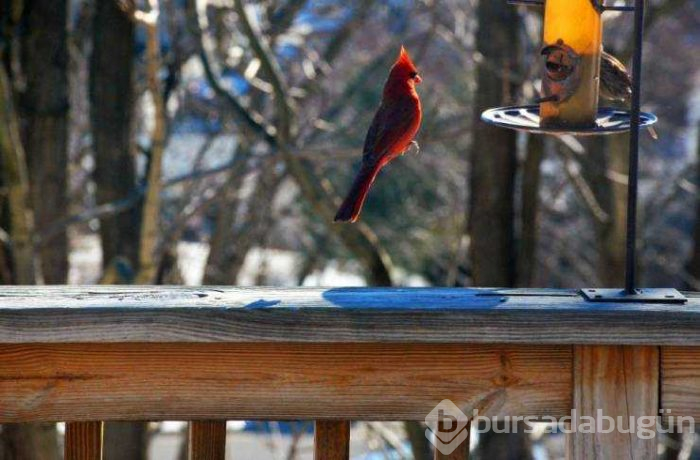 Günün en çok paylaşılan fotoğrafları (29.01.2019)