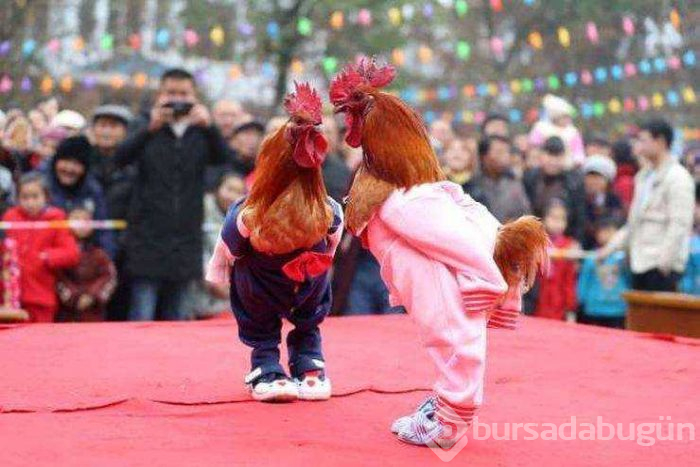 Günün en çok paylaşılan fotoğrafları (29.01.2019)