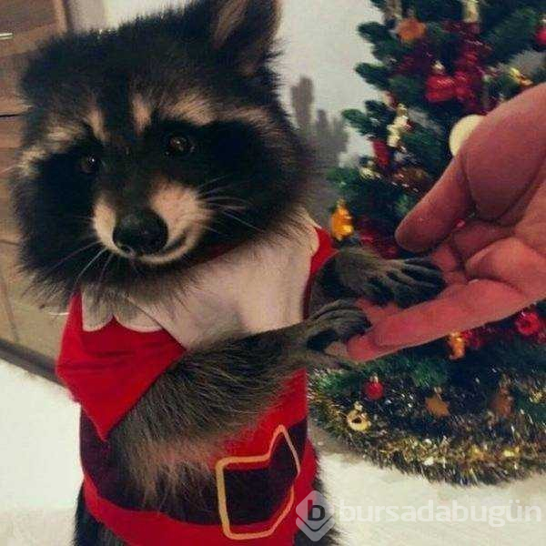 Günün en çok paylaşılan fotoğrafları (29.01.2019)