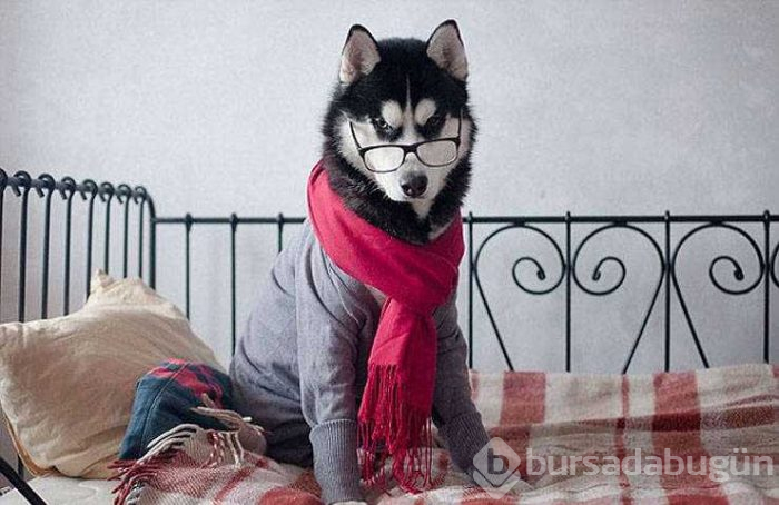 Günün en çok paylaşılan fotoğrafları (29.01.2019)
