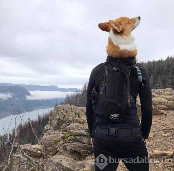 Günün en çok paylaşılan fotoğrafları (29.01.2019)