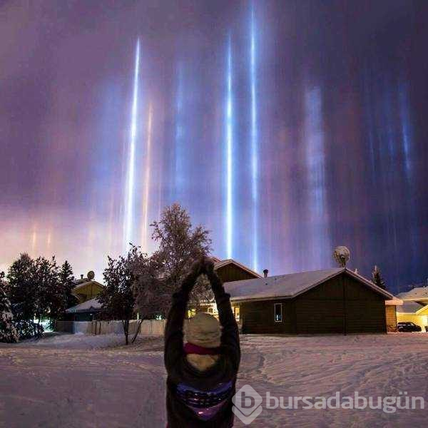 Günün en çok paylaşılan fotoğrafları (29.01.2019)