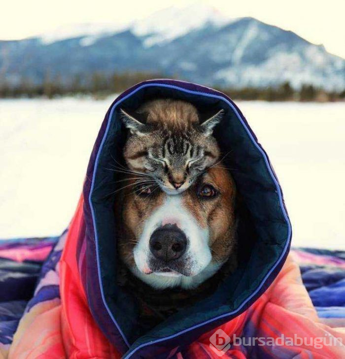 Günün en çok paylaşılan fotoğrafları (29.01.2019)