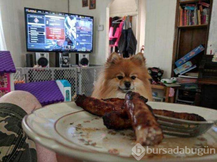Günün en çok paylaşılan fotoğrafları (29.01.2019)