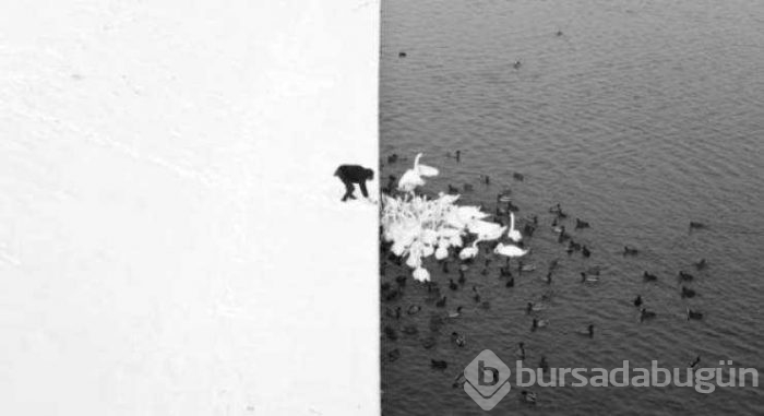 Günün en çok paylaşılan fotoğrafları (29.01.2019)
